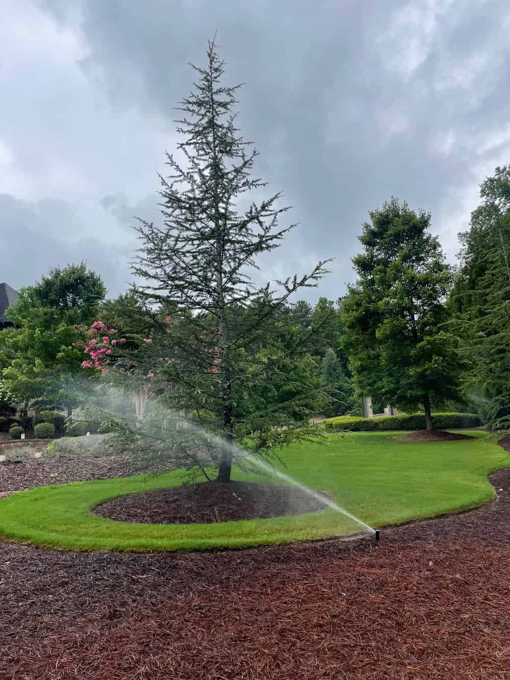Irrigation image