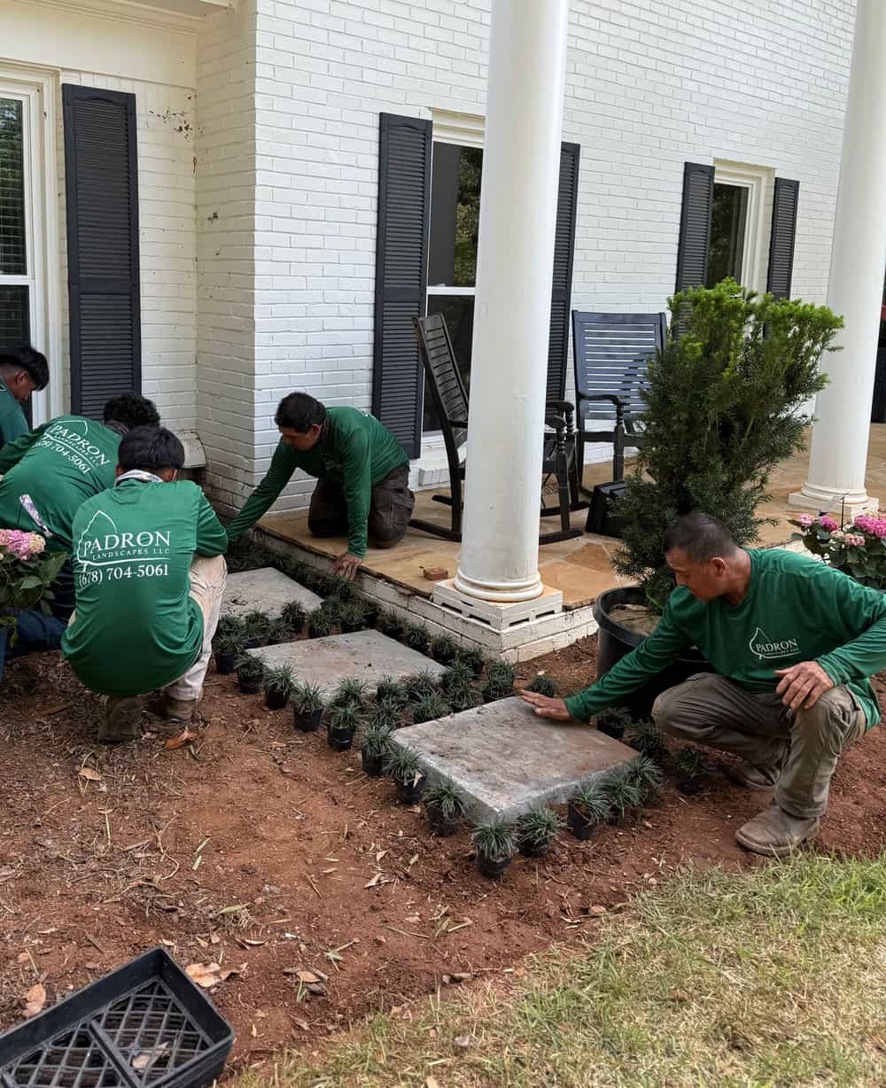 Hero image for Padron Landscape Group, LLC