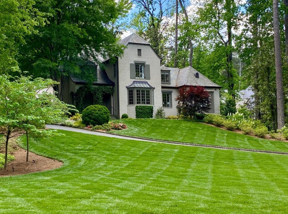 Residential Weekly Landscape Management in Buckhead, GA image