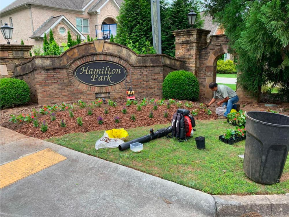 HOA Seasonal Color Installation in Marietta, GA